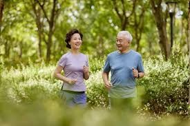 魔鬼主场告破！猛龙此前主场8连胜，被湖人终结